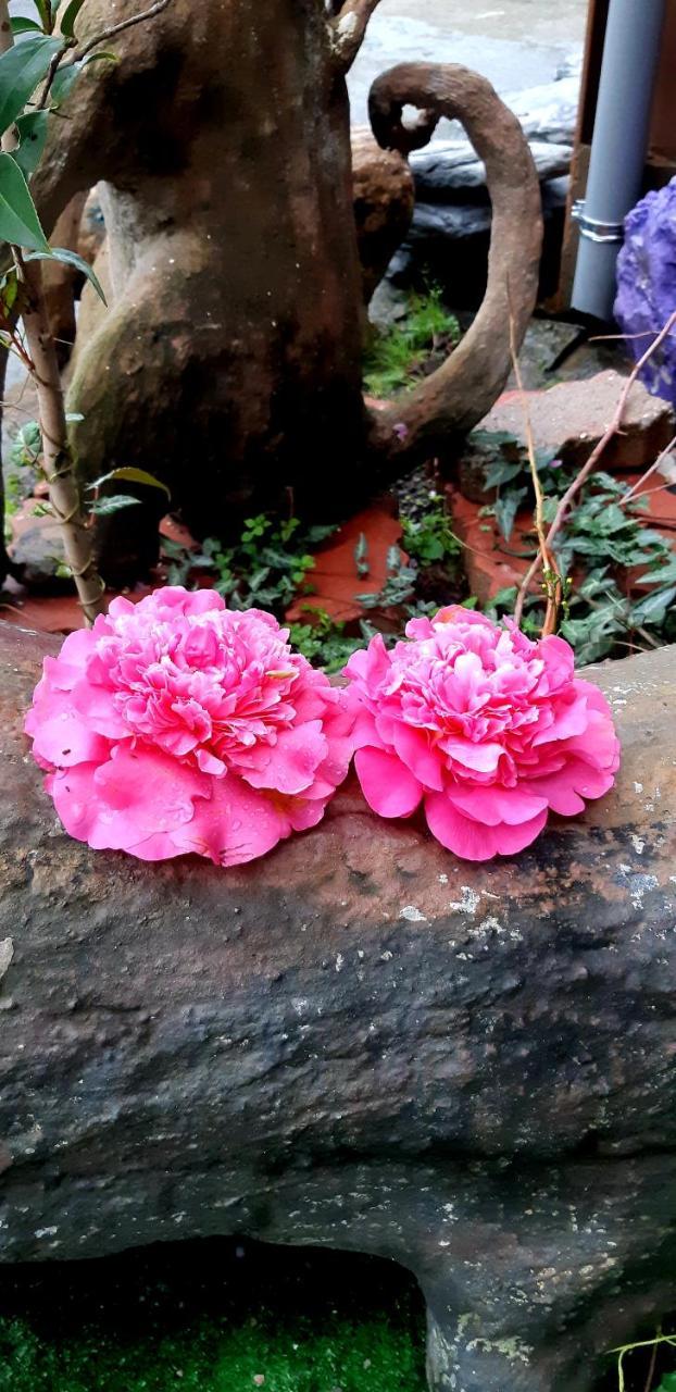 Lushan Xiangting Tea Homestay Ren’ai Zewnętrze zdjęcie